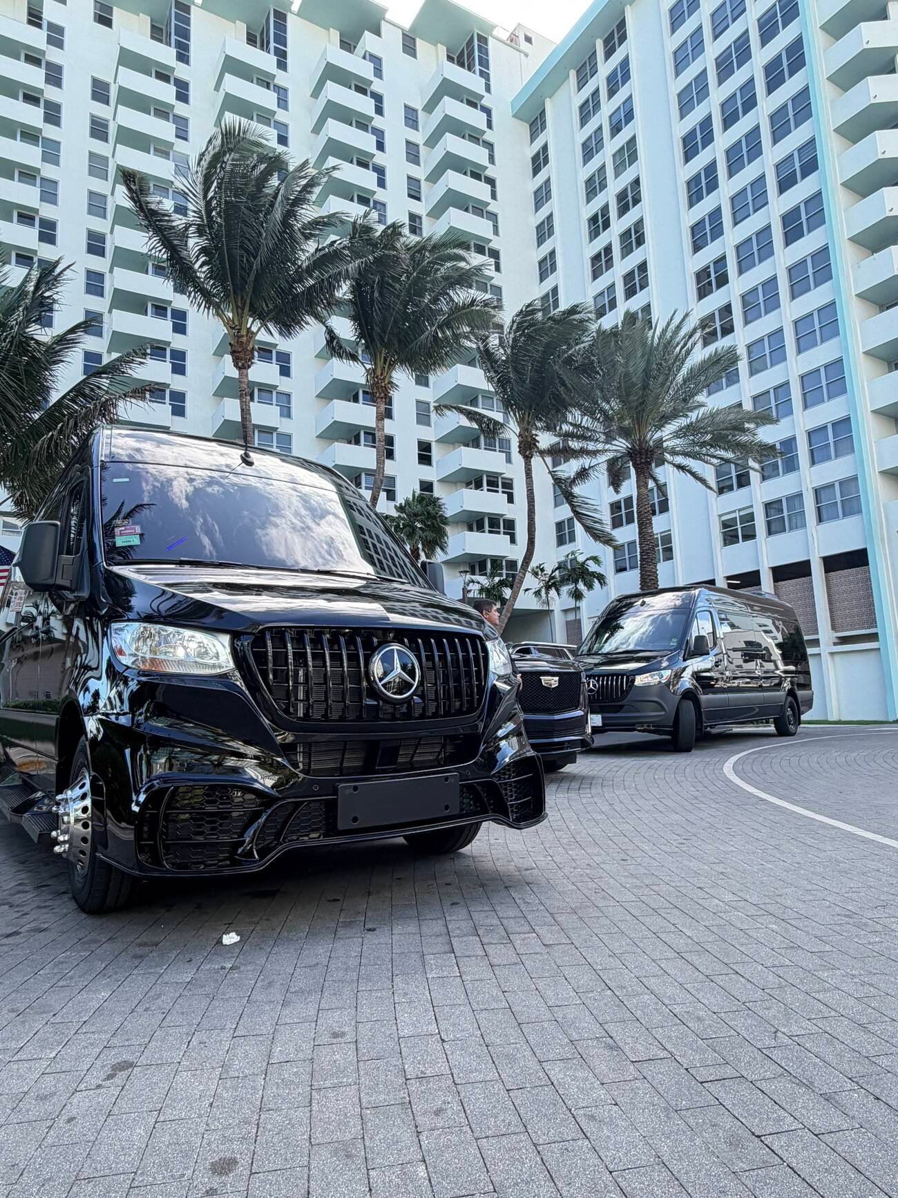 Champa Bay Limo Sprinter fleet lined up