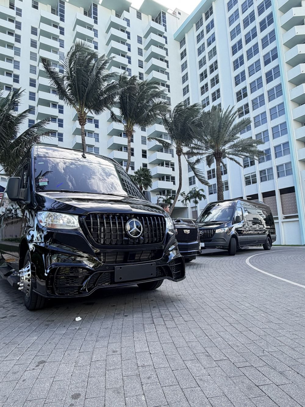 Mercedes Sprinter executive van Tampa limo fleet