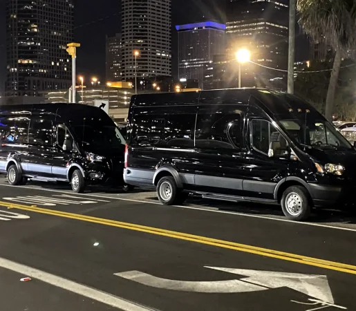 Limo Night Out